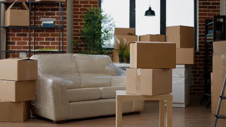 Furniture Removal